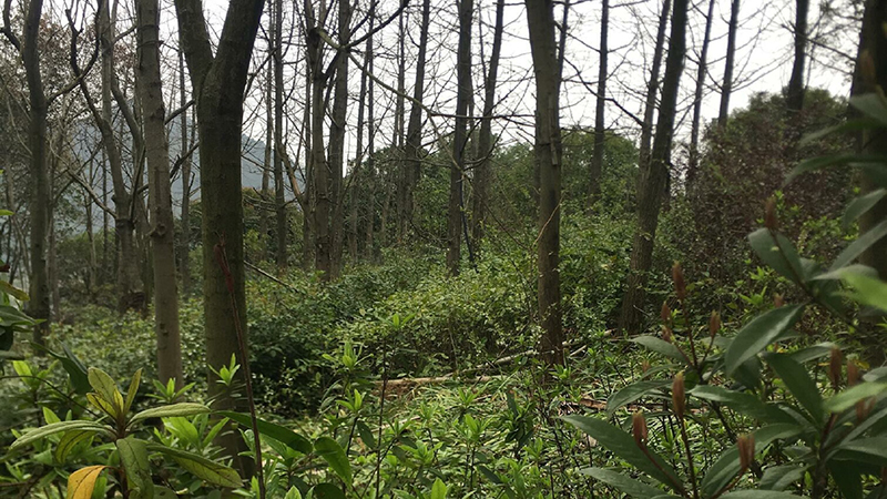 ��������w66,����Ұ������׷��,��������׷����,����׷����