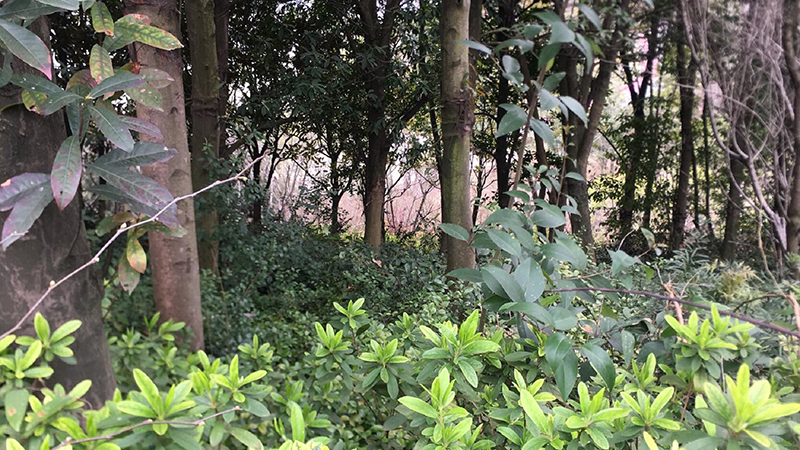 ��������w66,����Ұ������׷��,��������׷����,����׷����