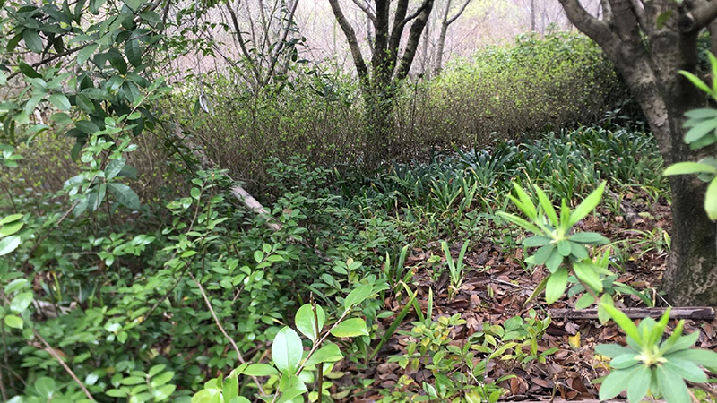 ��������w66,����Ұ������׷��,��������׷����,����׷����