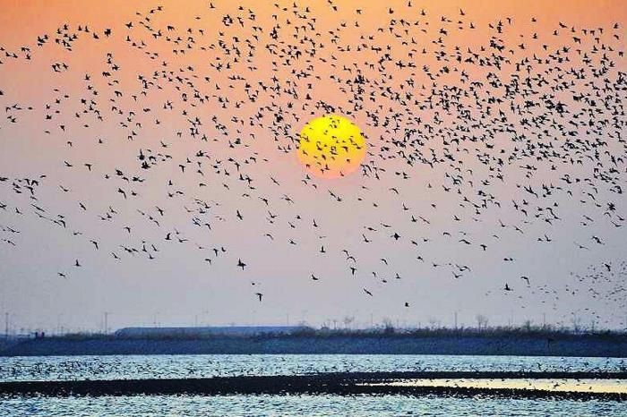 ���������Ͳ�,�Ͳ���,�Ͳ��,����ʱ���,�����,�Ͳ���۸�,�Ͳ�������,�Ͳ������